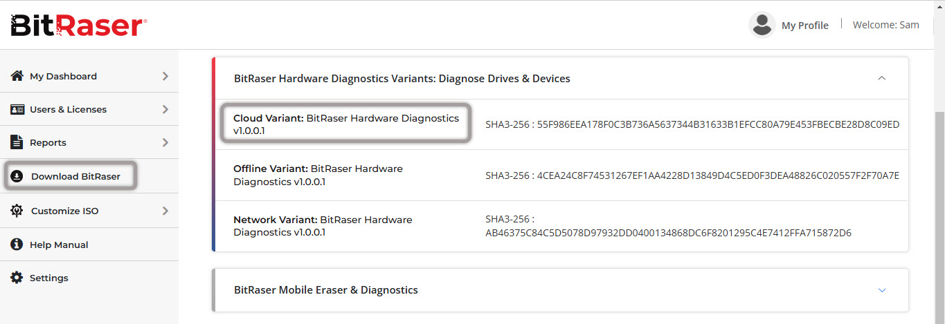 Download BitRaser Hardware Diagnostics ISO