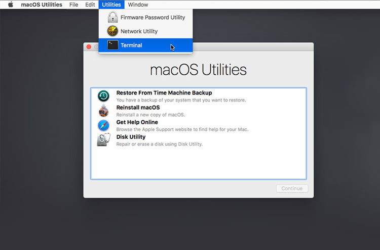 Select Options, then Click Continue