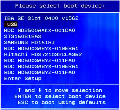 Select  BitRaser Bootable USB, then Press Enter