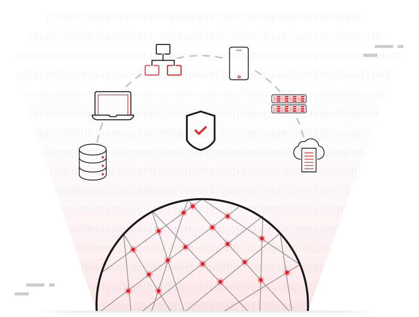 BitRaser solution for MSP and SI