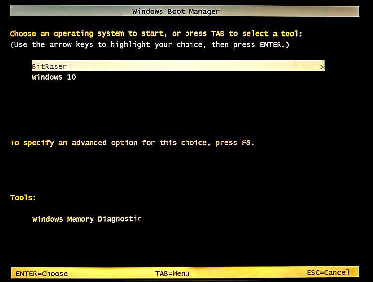 Windows Boot manager menu with BitRaser and Windows 10 option and BitRaser is highlighted