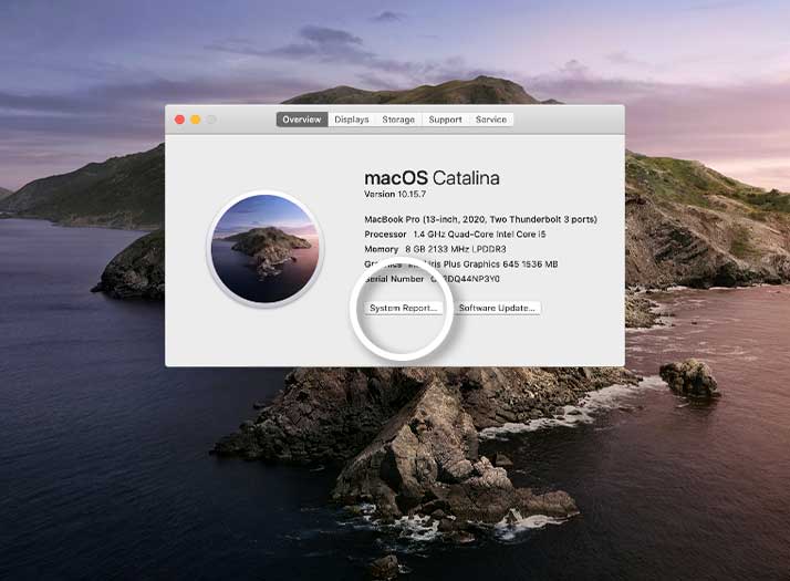 Click-on-system-report
