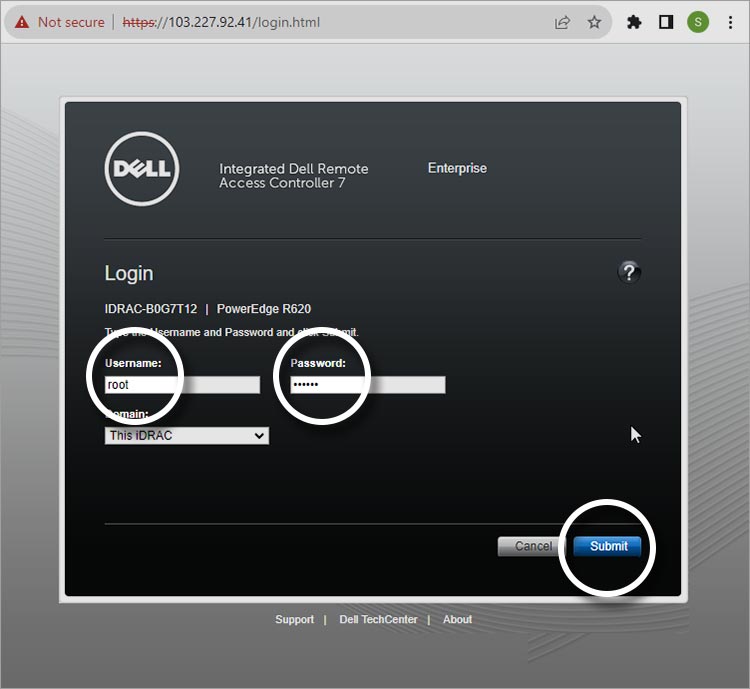 Dell iDRAC Main Interface