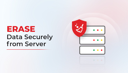 Erase data securely from server using BitRaser Drive Eraser