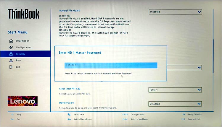 Enter Disk Password, then Press Enter