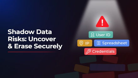 The image shows colored rectangular blocks with texts in white: user ID, credentials, spreadsheet, and IP with spotlight on them in white. The background is black and blog's title is on the left: Shadow Data Risks: How to Uncover and Erase It Securely