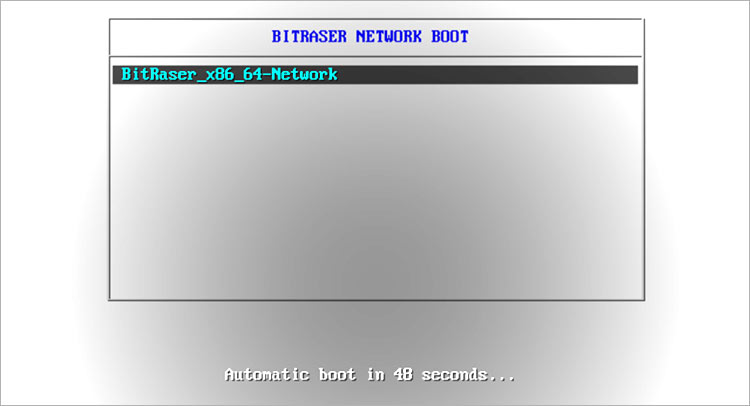 BitRaser Network Boot Screen