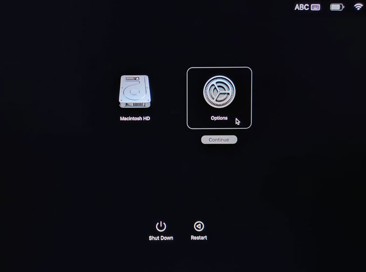 Select Options then Click Continue
