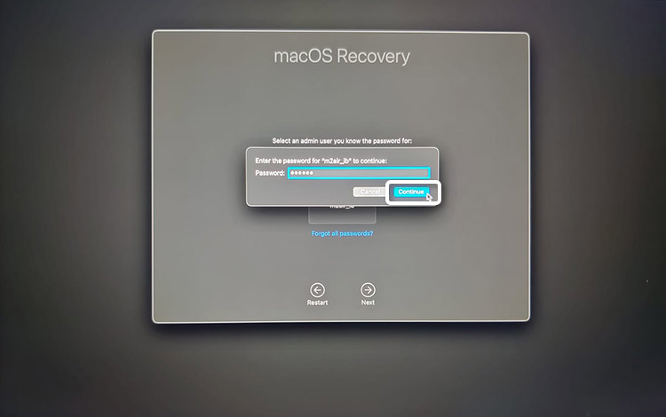 Enter the Admin Password and Click Continue