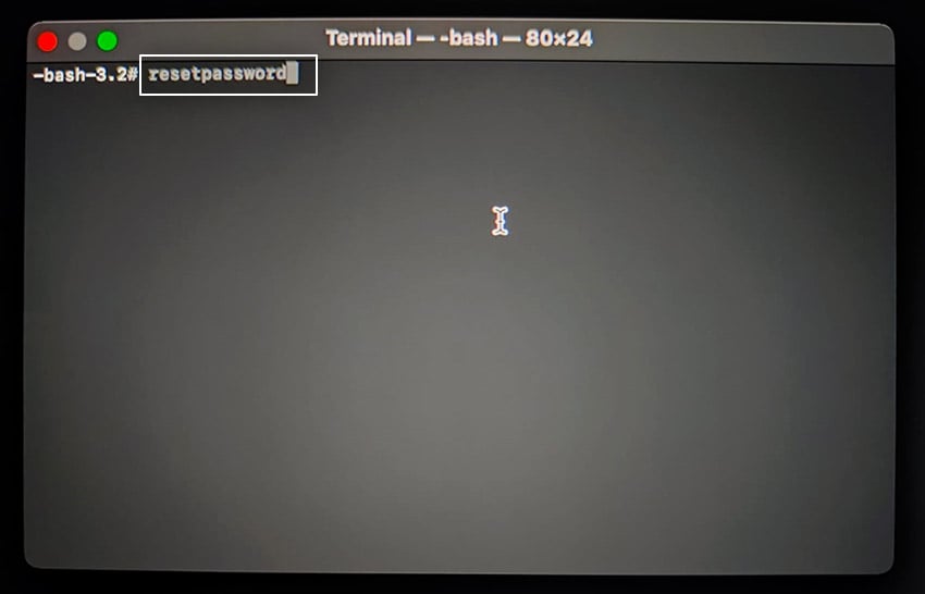 Type reset password in Terminal