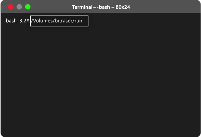 Type volume bitraser run in T2 Mac Terminal