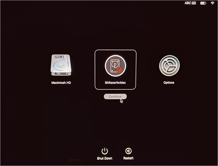M1 Mac Startup Disk Screen with BitRaserforMac Option Highlighted
