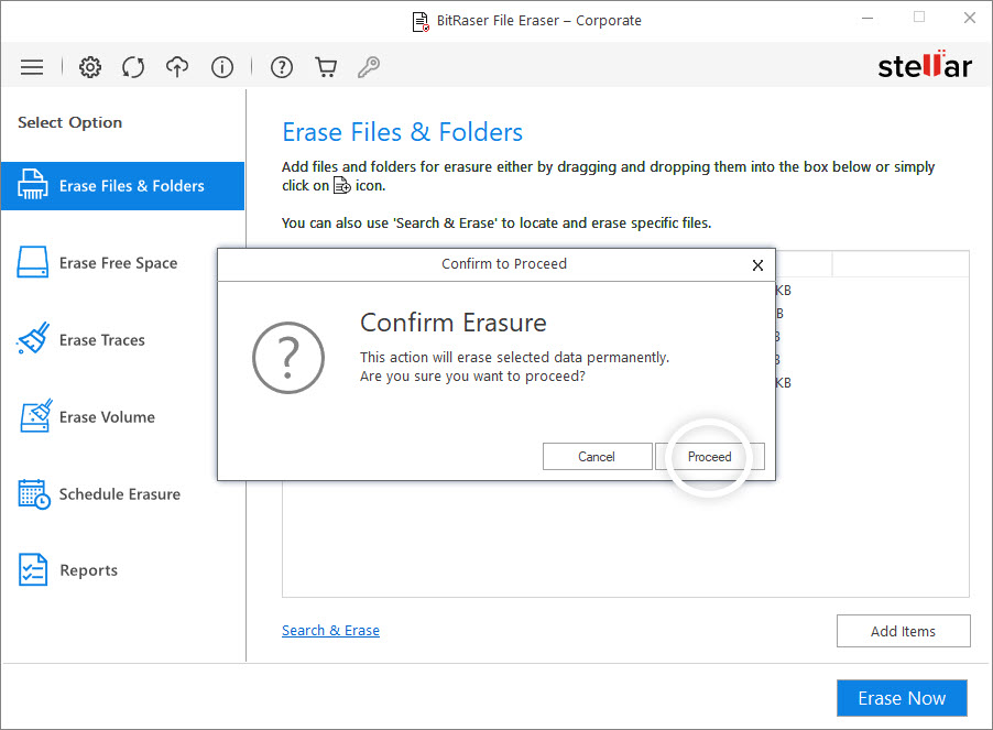 Confirm File Erasure Screen BitRaser File Eraser Corporate (Windows)