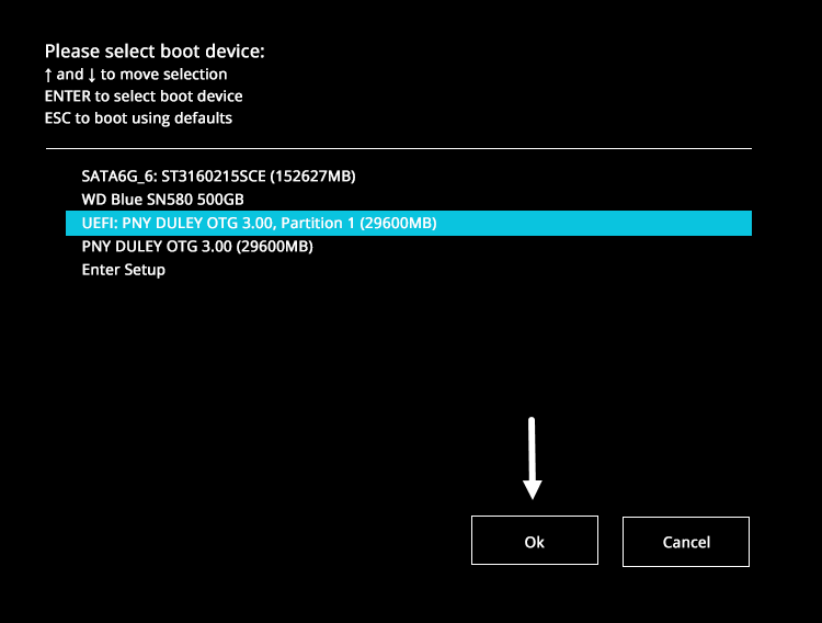 ASUS  Boot Menu External USB Selected