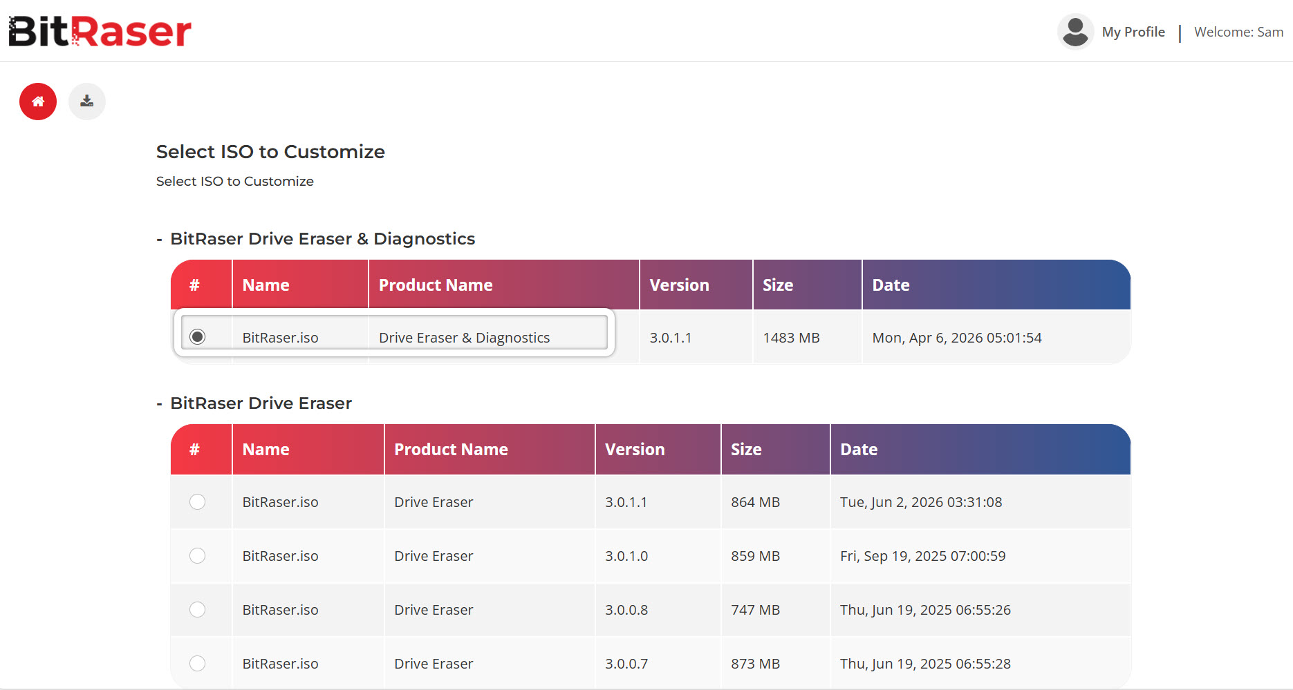 ISO-Anpassung für BitRaser Drive Eraser & Diagnostics