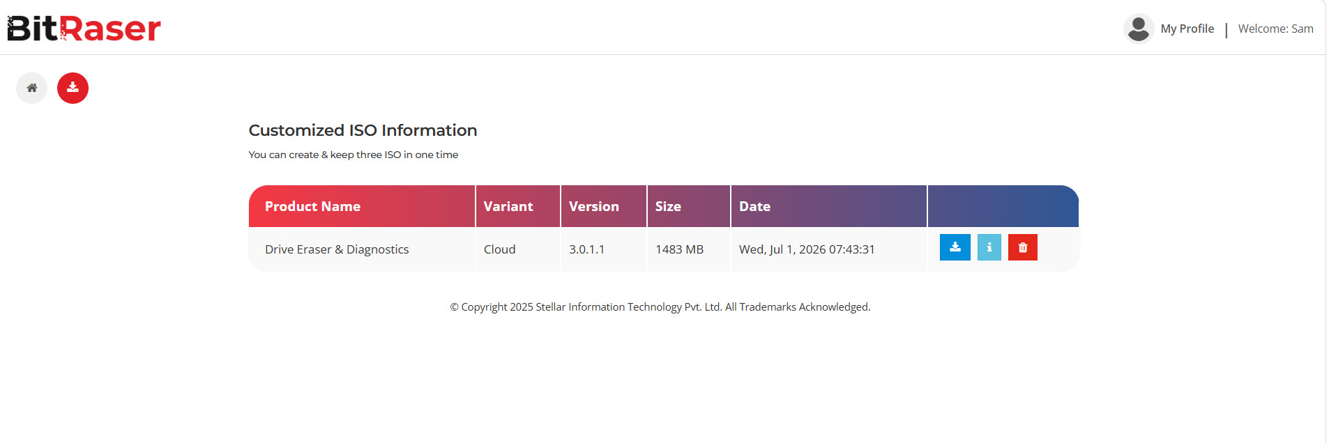 BitRaser Customized ISO Information page showing a Drive Eraser & Diagnostics ISO with download and management options.