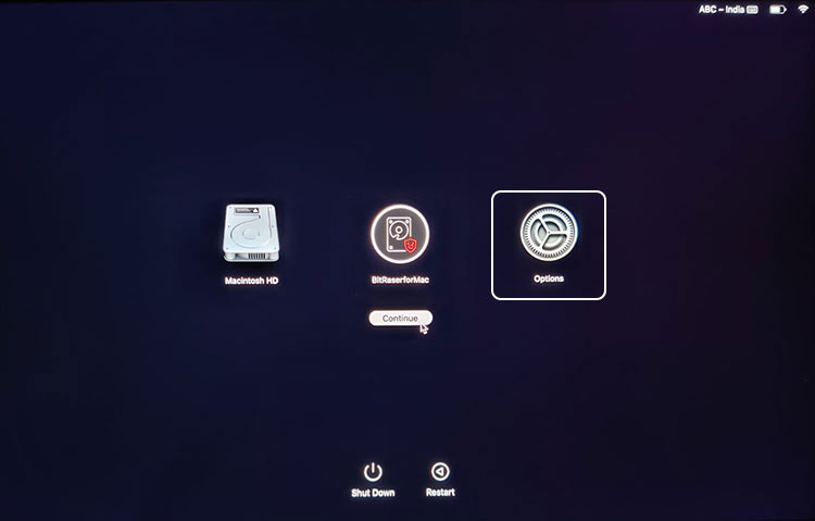 Select BitRaser from boot menu